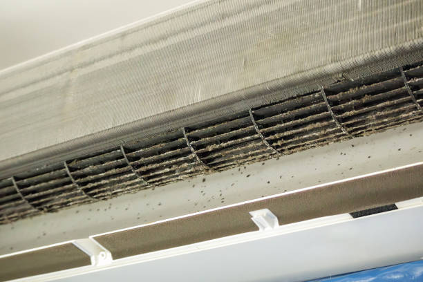 Best Ventilation Cleaning Services  in Clarksville, TX